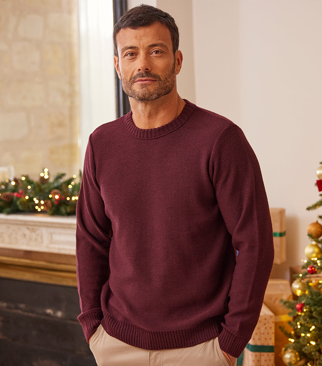Pulls en Laine Homme